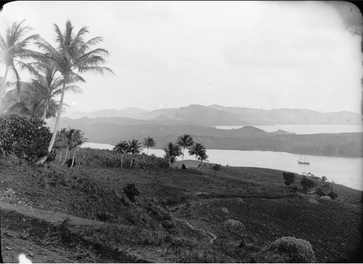Photographie en noir et blanc de la baie de la Trinité et de la presqu'île de la Caravelle, vue prise de l'Ouest, Martinique