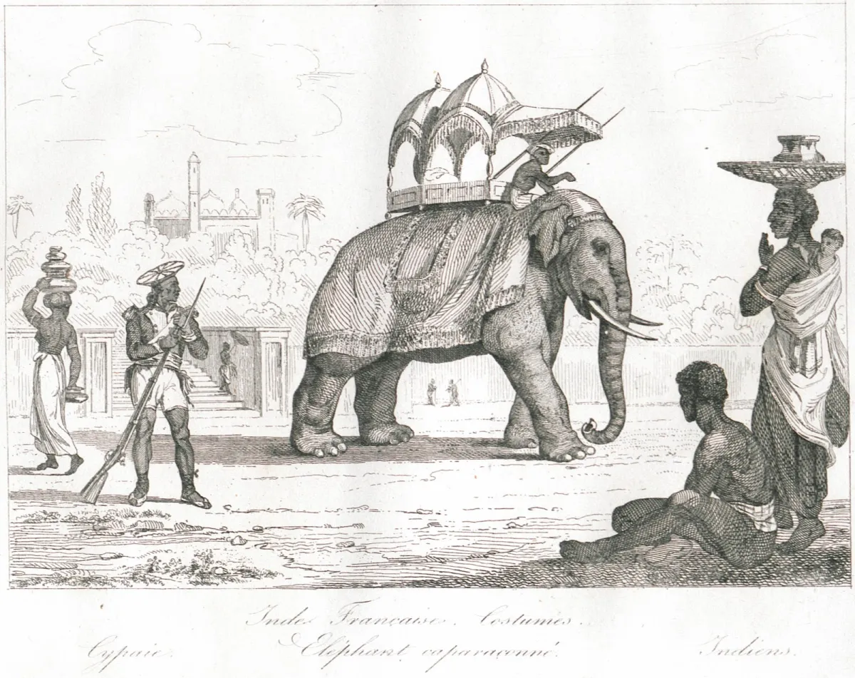 Inde française. Costumes. Cypaie. Eléphant caparaçonné. Indiens