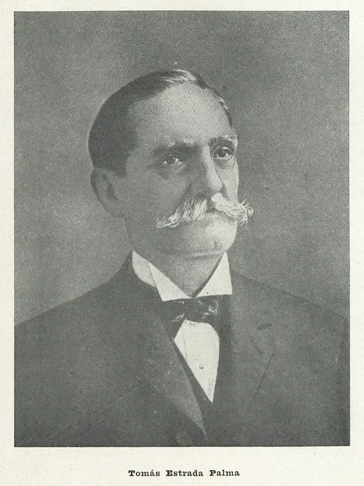 Portrait de Tomàs Estrada Palmas 