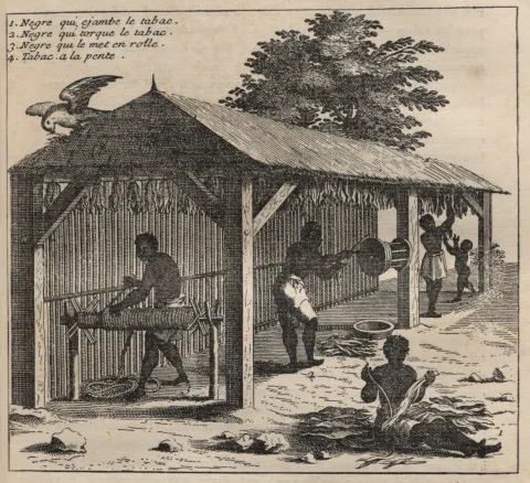 Illustration avec des personnages préparant du tabac