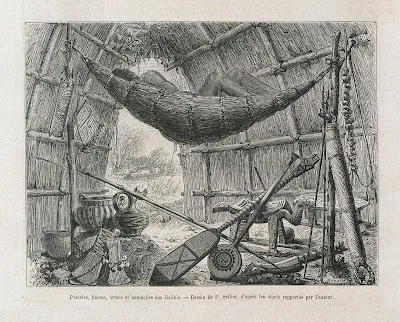 Dessin représentant les objets rapportés par l'auteur