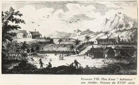 Gravure du plan d'une habitation des Antilles du XVIIIe siècle