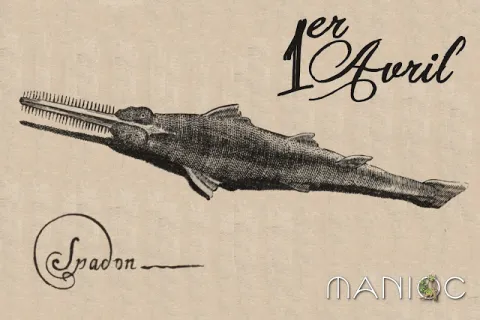 Image d'un espadon