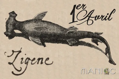 Image d'un poisson Zigene